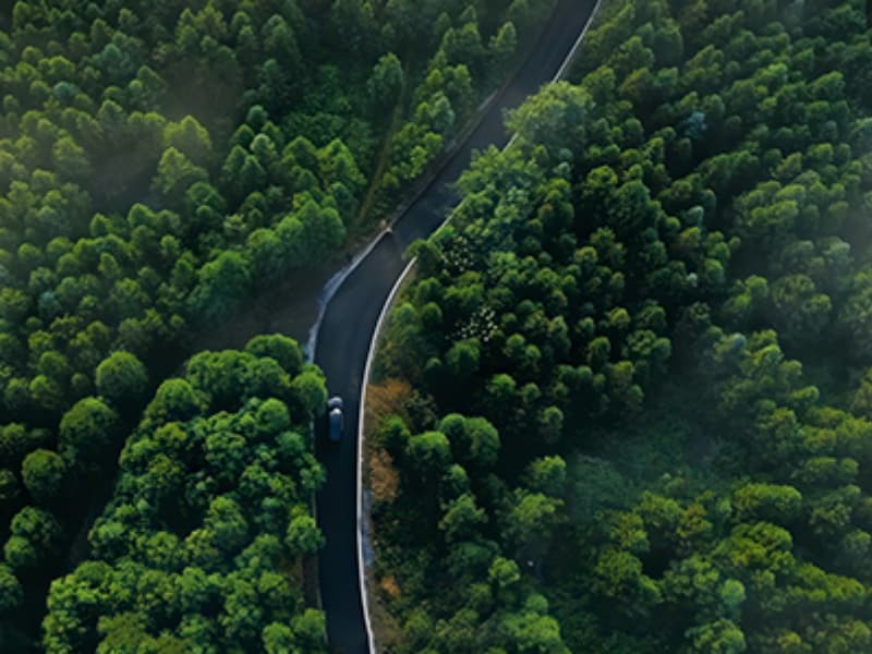 Leading Indian Filtration Firm Engages in Productive Partnership Talks with Bengbu Tongchen Automation Technology Co., Ltd.